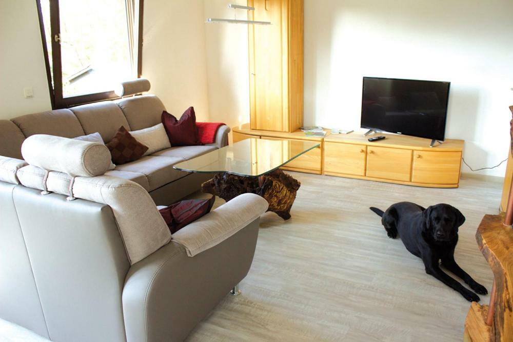 Wolfs Ferienhaus - Natuerlich Eifel Blankenheim  Extérieur photo