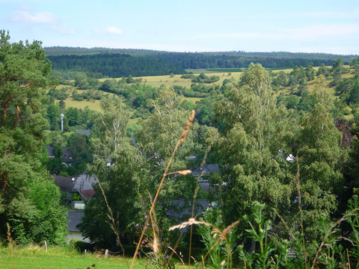 Wolfs Ferienhaus - Natuerlich Eifel Blankenheim  Extérieur photo